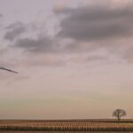 Photo Reclaiming power